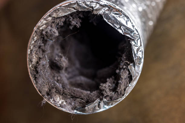 Best Residential Air Duct Cleaning  in Highland Park, IL