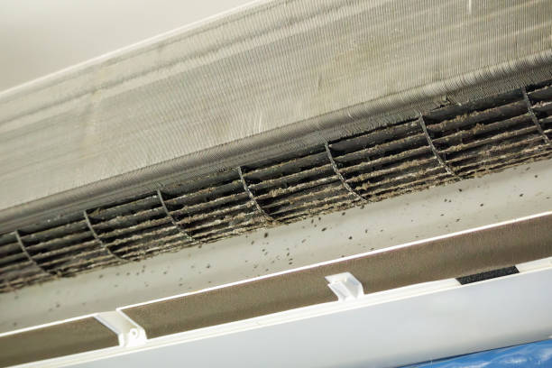 Best Professional Duct Cleaning Services  in Highland Park, IL